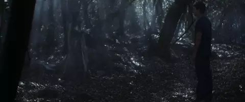 Ximena del Solar - Perfidia (2014)