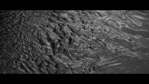 Anna Aaron - Sea Monsters
