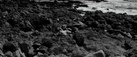Sasha Lane Nude - Moses Sumney - Lonely World (2017)