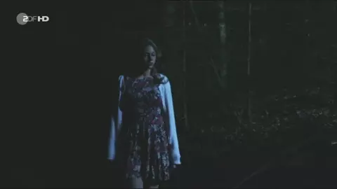 Felicitas Woll - Liebe bis in den Mord (2016)