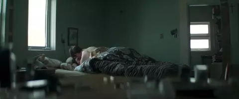 Tatiana Maslany - Two Lovers And A Bear (2017)