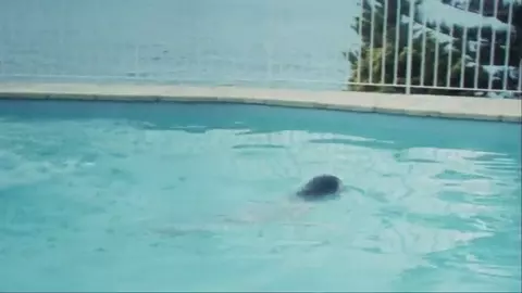 Deborah Coulls Nude - Lady Stay Dead (AU 1981)