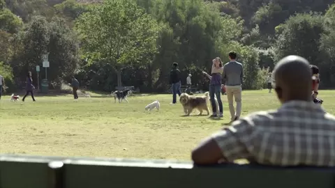 Man takes lead and humps Diora Baird who runs away before orgasm in Casual S01e03 (2015)