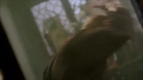 Oriental minxes receive small Asian cocks in mouths in explicit movie sex scenes