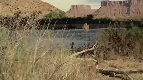 Ingrid Bolso Berdal Nude - Westworld (2016) s01e04