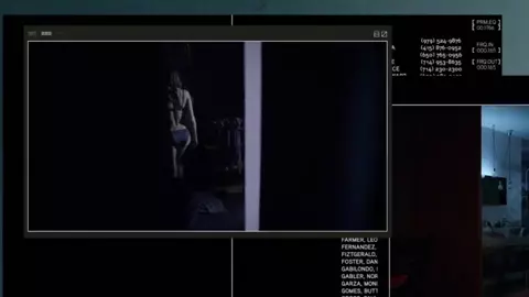 Sasha Grey - Open Windows (2014)