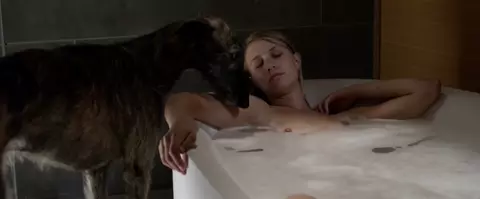 Sara Hjort Ditlevsen, Hadewych Minis Nude - Borgman (2013)