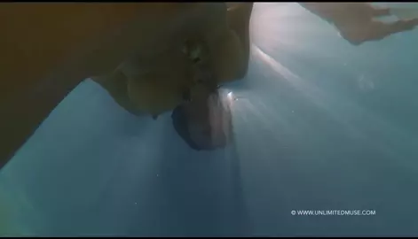 Milo Moire - Fluid Ecstasy The Return to our Origins (2015)