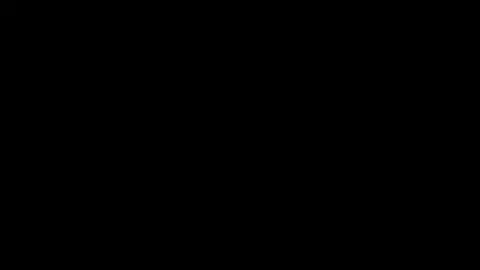 Homebody