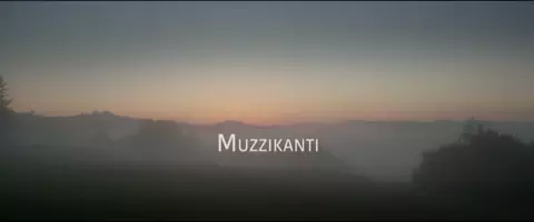 Michalina Olszanska nude - Muzzikanti (2017)