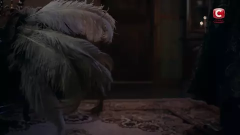 Darja Legeida nude - Kriposna s01e01 (2019)