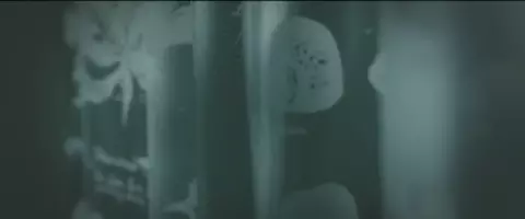 Ha Thanh Spetlikova, Diana Minarovicova nude - Miss Hanoi (2018)