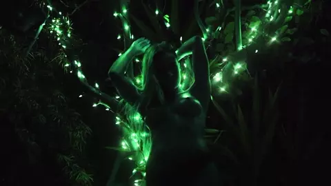 Erotic Music Clip - Erotic Predator