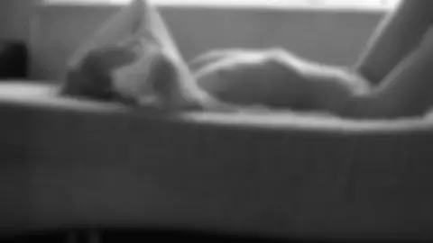 Nude Art Video - Sensual Girl