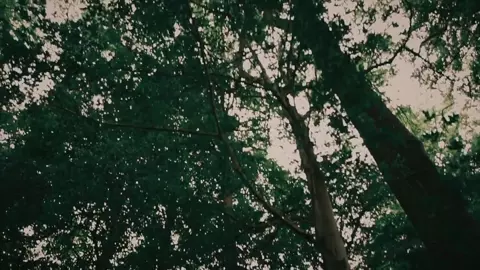 Music Erotic Clip - WonderLess
