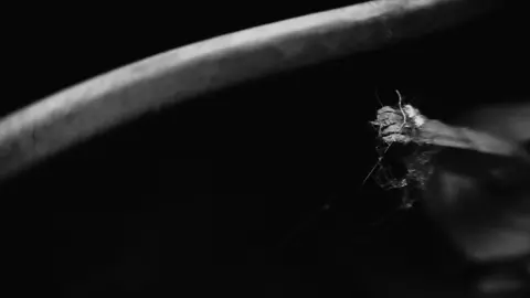 Nude Art - Horror Erotic Clip