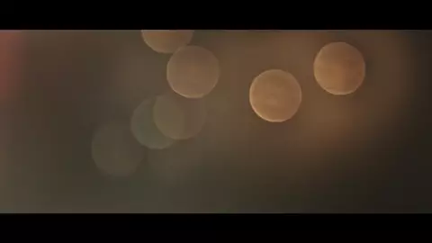 Erotic Video - One day strippers