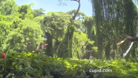 True Love - find it on Cupid com!