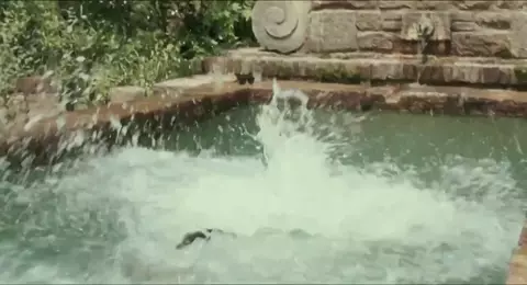 Esther Garrel Nude - Call Me by Your Name (2017) HD 1080p