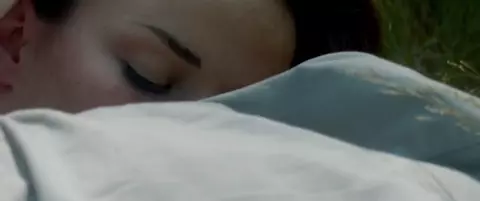 Sexy Salome Stevenin nude - Lili Rose (2014)