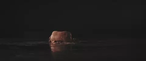 Nude Katarzyna Dabrowska - Genesis (2019)