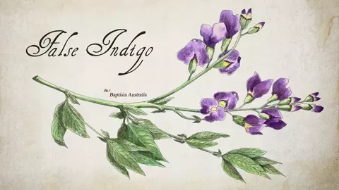 Nude Morgane Polanski - False indigo (2019)