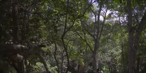 Nude Paloma Bernardi - O Escolhido s02e05 (2019)