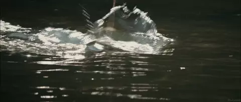 Amber Heard nude - The River Why (2010)