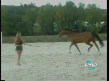 Naked Sports with horses