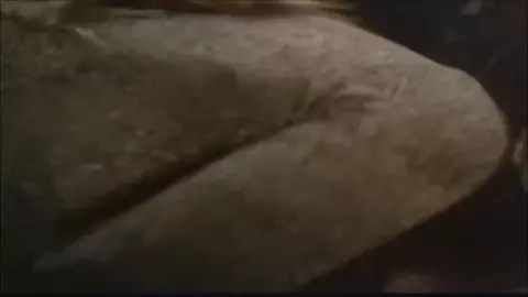 Feature films with participation of sexy actresses who openly suck off in hot sex scenes